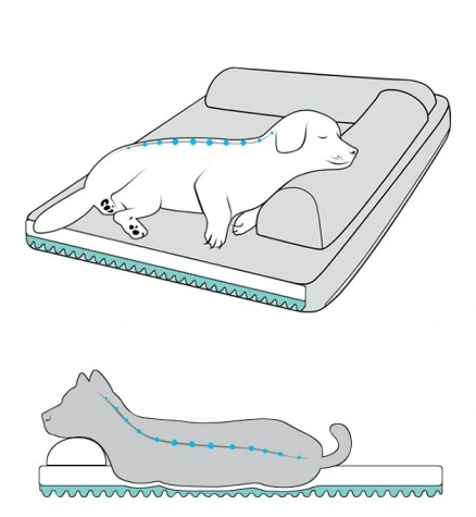 Legowisko-kanapa-sofa-dla-psa-Truelove-memory
