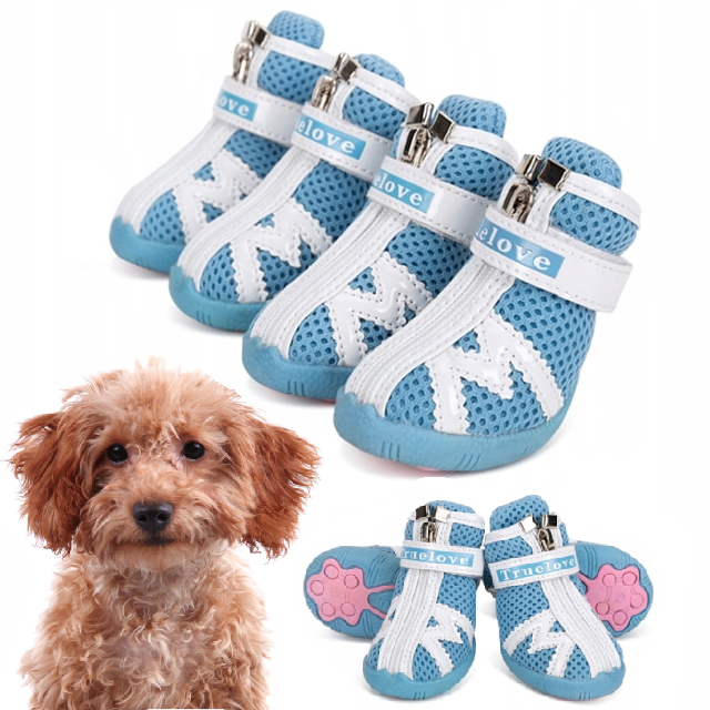 Buty-dla-malego-psa-Truelove-Protection-niebieskie