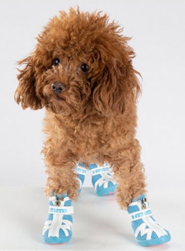 Buty-dla-malego-psa-Truelove-Protection-niebieskie