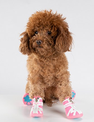 Buty-dla-malego-psa-Truelove-Protection-rozowe 2.png