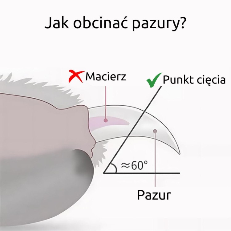 Profesjonalny-obcinacz-do-pazurkow-dla-psa-i-kota-Truelove (2).jpg