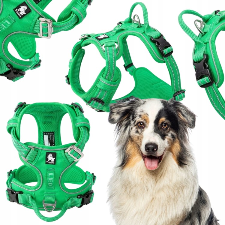 Szelki-dla-psa-easy-walk-Truelove-Front-Line-Premium-zielone