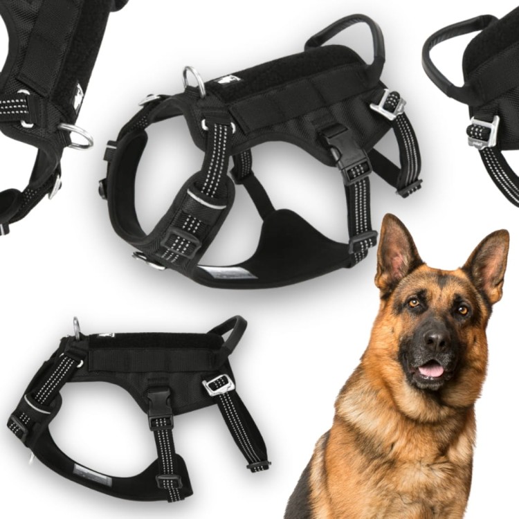 Szelki-antyucieczkowe-dla-psa-Truelove-Safe-Hiking-czarne