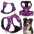 Szelki-dla-psa-easy-walk-wodoodporne-Truelove-Adventure-Soft-fioletowe
