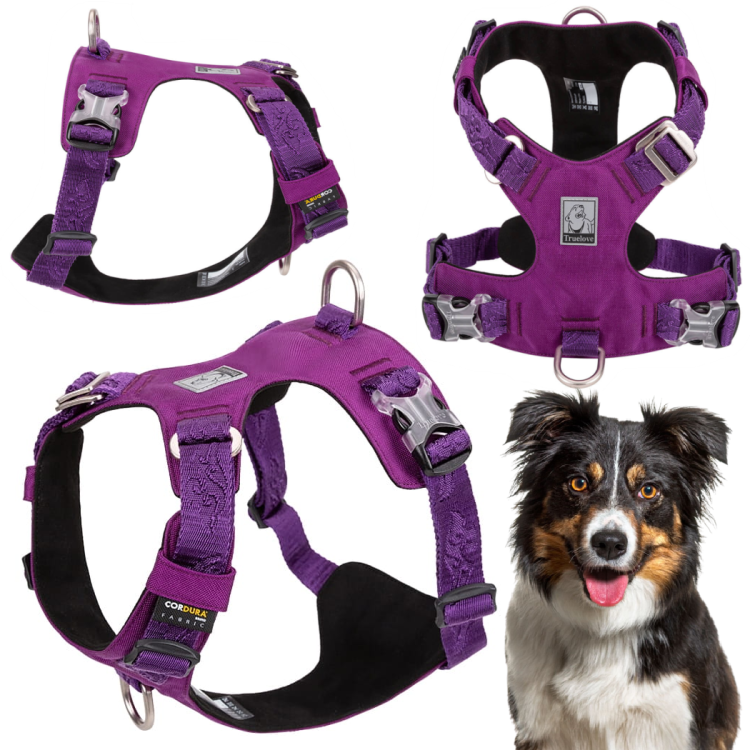 Szelki-dla-psa-easy-walk-wodoodporne-Truelove-Adventure-Soft-fioletowe