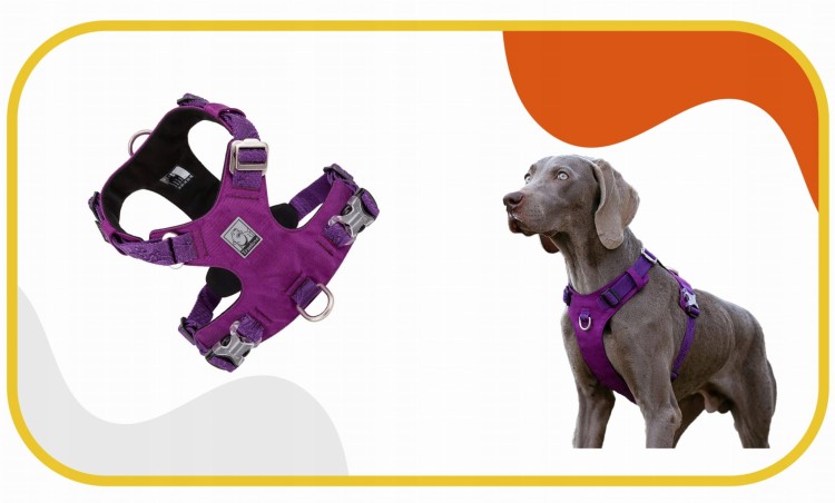 Szelki-dla-psa-easy-walk-wodoodporne-Truelove-Adventure-Soft-fioletowe