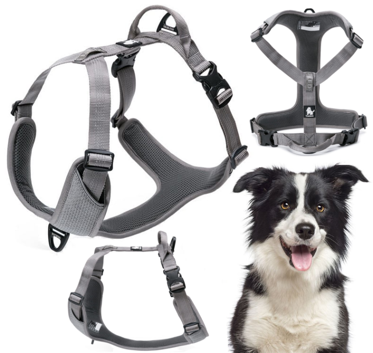 Szelki-guard-easy-walk-dla-psa-Truelove-Lumen-szare