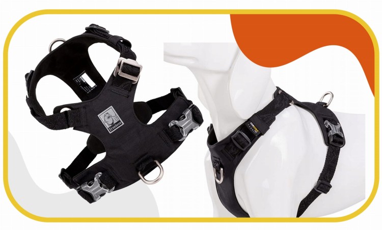 Szelki-dla-psa-easy-walk-wodoodporne-Truelove-Adventure-Soft-czarne