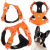 Szelki-dla-psa-easy-walk-wodoodporne-Truelove-Adventure-Soft-pomaranczowe