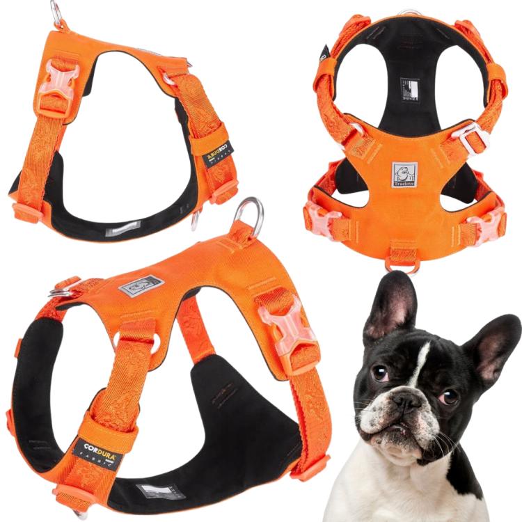 Szelki-dla-psa-easy-walk-wodoodporne-Truelove-Adventure-Soft-pomaranczowe