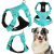 Szelki-dla-psa-easy-walk-wodoodporne-Truelove-Adventure-Soft-niebieskie