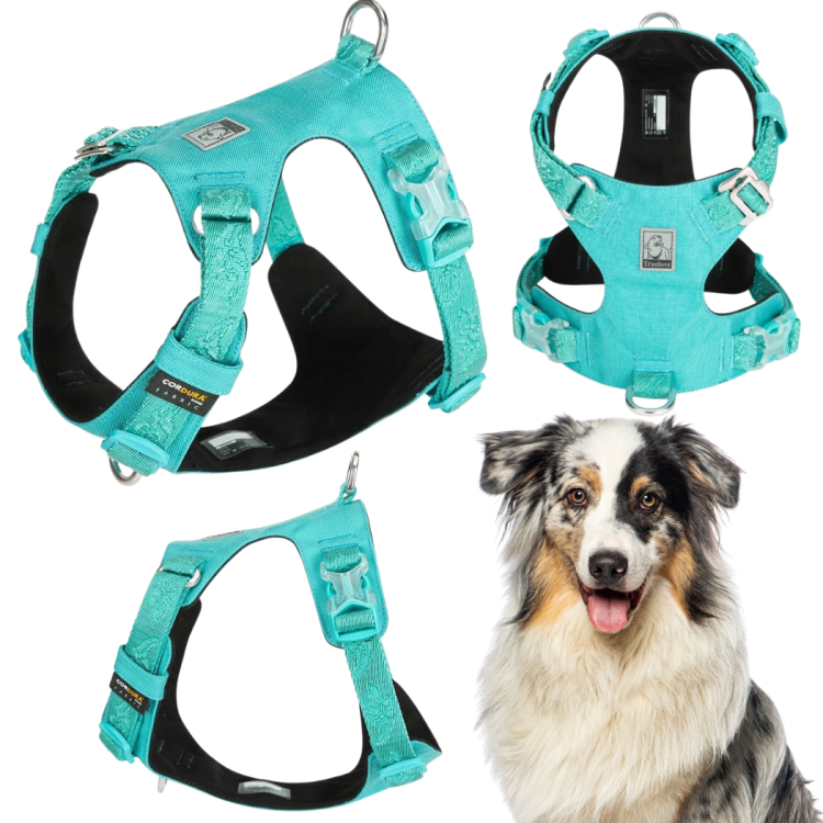 Szelki-dla-psa-easy-walk-wodoodporne-Truelove-Adventure-Soft-niebieskie