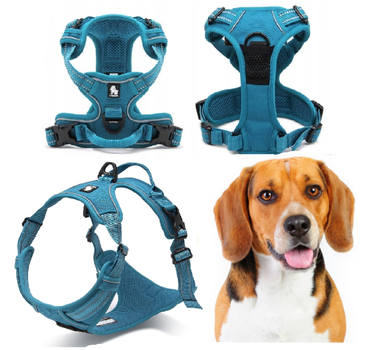 Szelki-dla-psa-easy-walk-Truelove-Front-Line-niebieskie