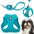Szelki---smycz-dla-malego-psa-i-kota-Truelove-Mini-Mesh-niebieskie
