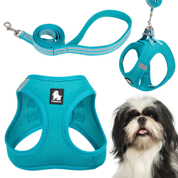 Szelki---smycz-dla-malego-psa-i-kota-Truelove-Mini-Mesh-niebieskie