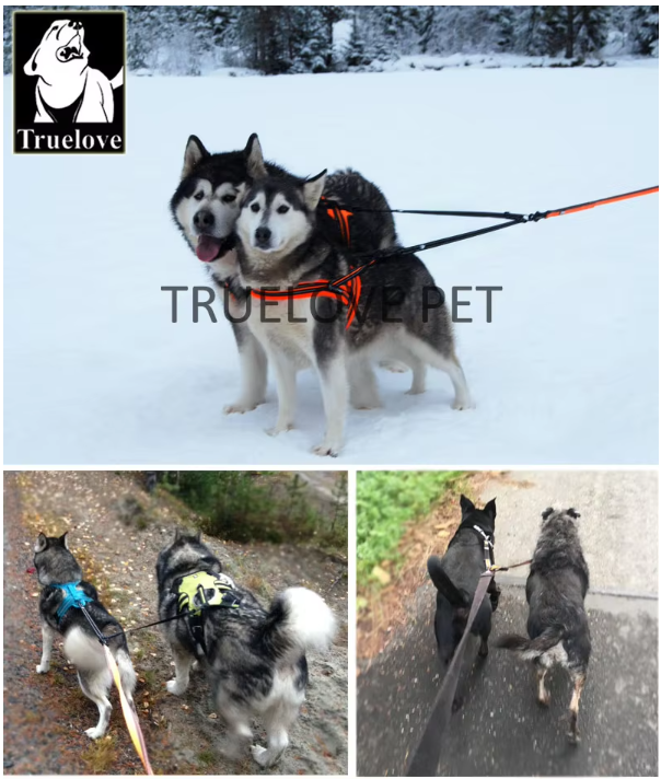 Dwojnik-do-smyczy-dla-psa-Truelove