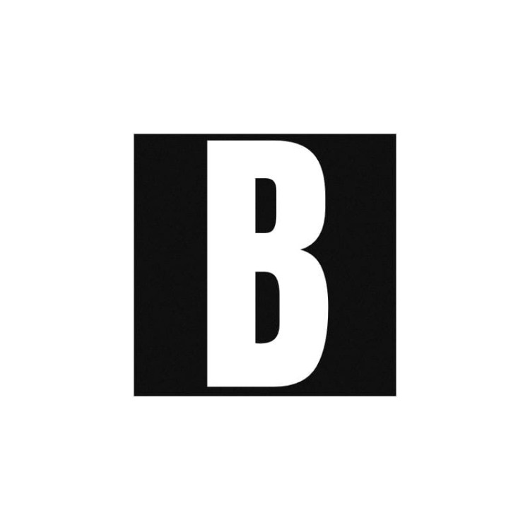 Odblaskowy-rzep-do-szelek-i-obrozy-dla-psa-Truelove---litera-B.jpg