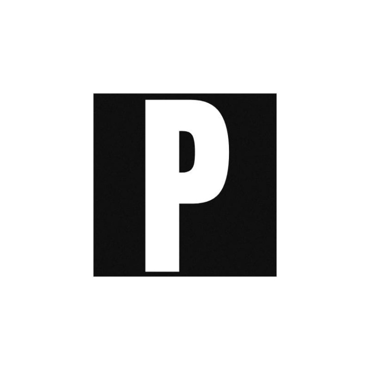 Odblaskowy-rzep-do-szelek-i-obrozy-dla-psa-Truelove---litera-P.jpg