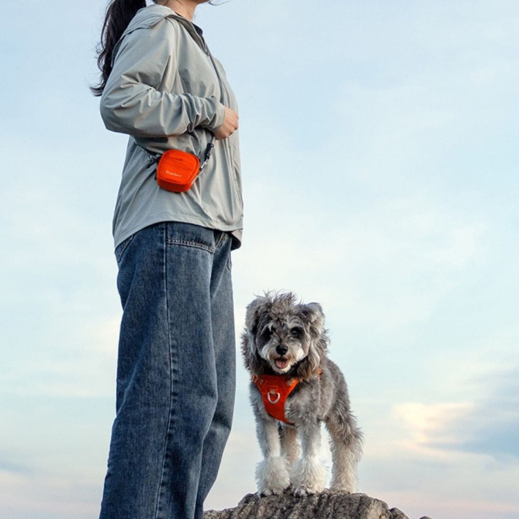 Etui-na-klucze-i-woreczki-Truelove-City-Break-Mini (5).jpg