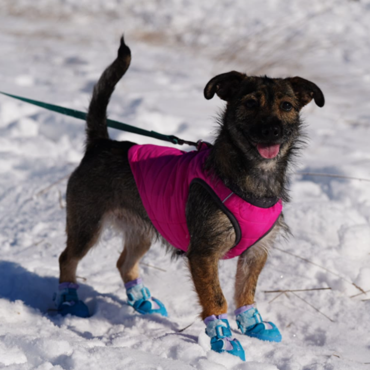 Projekt bez nazwy - 2026-02-24T115318.940.png