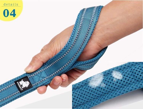 Truelove-smycz-Active-200cm (3).jpg