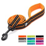 Smycz dla psa Truelove Active 200 cm - 11 kolorów– odblaskowa, mocna 