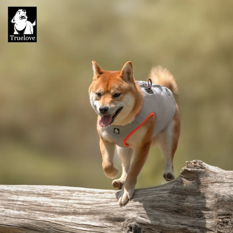 Kamizelka-chlodzaca-dla-psa-Truelove-pomaranczowa 4.jpg