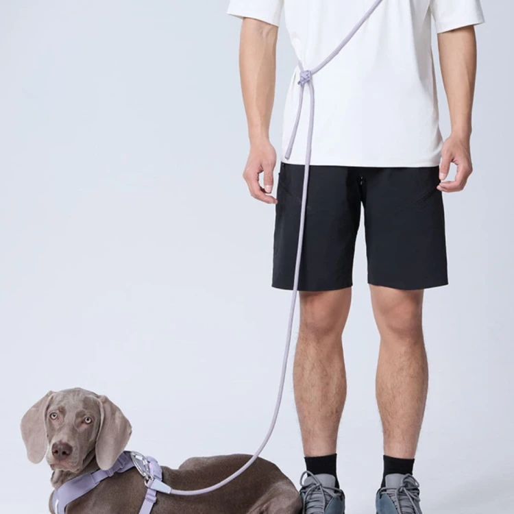 Smycz-dla-malego-i-sredniego-psa-DAQQAB-Alpine-Cord (6) (1).jpg