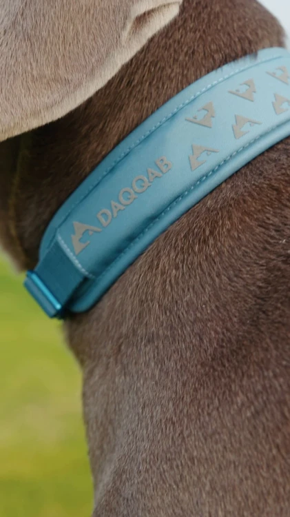 Obroza-dla-psa-DAQABB-Outdoor-Range-blekitna.jpg