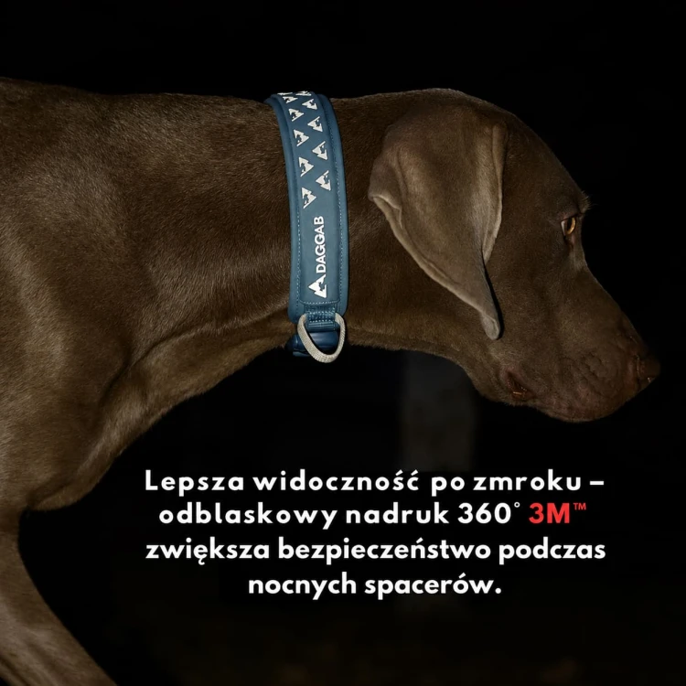 Obroza-dla-psa-DAQABB-Outdoor-Range-odblaski.jpg