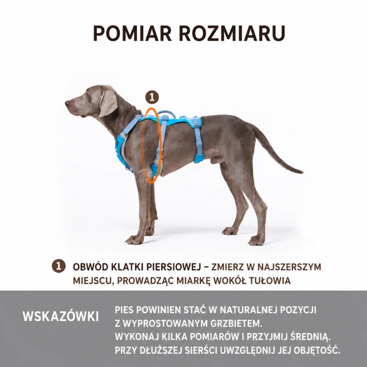 Szelki-dla-duzego-psa-DAQQAB-Base-Camp-pomiar.png