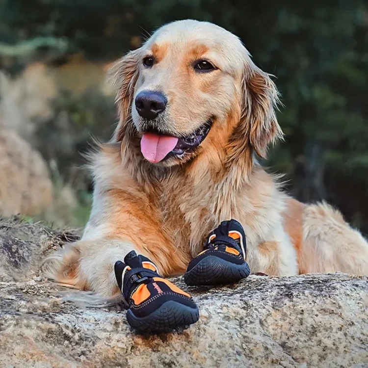 buty-dla-psa-truelove-long-distance-pomaranczowe.jpg