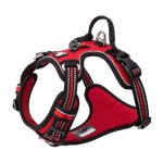 Szelki dla psa Truelove Front Line Premium – czerwone