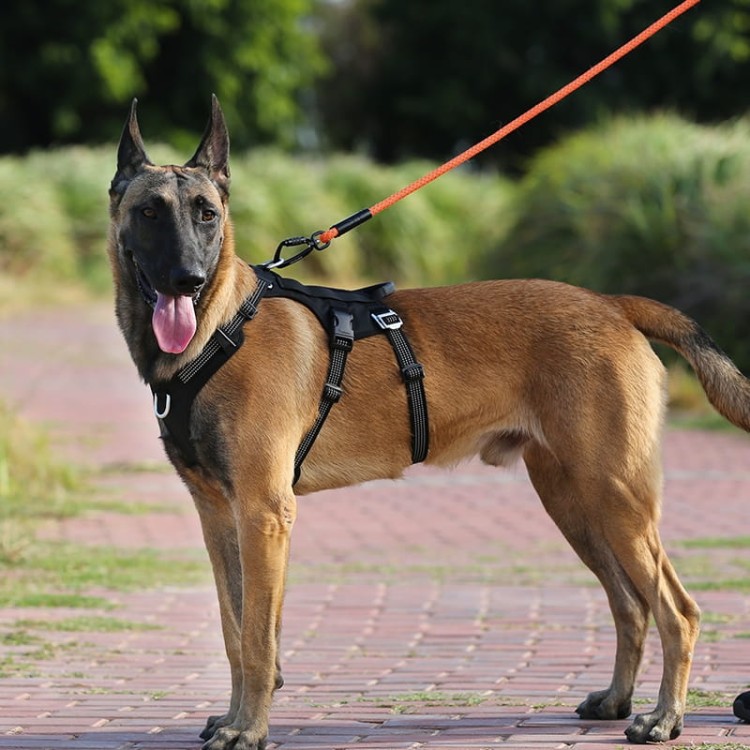 Szelki-antyucieczkowe-dla-psa-Truelove-Safe-Hiking-czarne