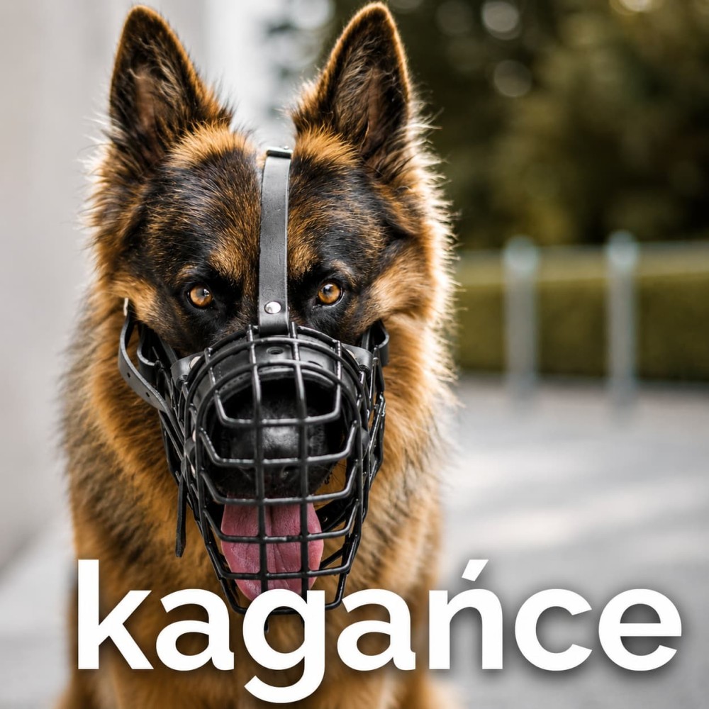 kaganiec dla psa