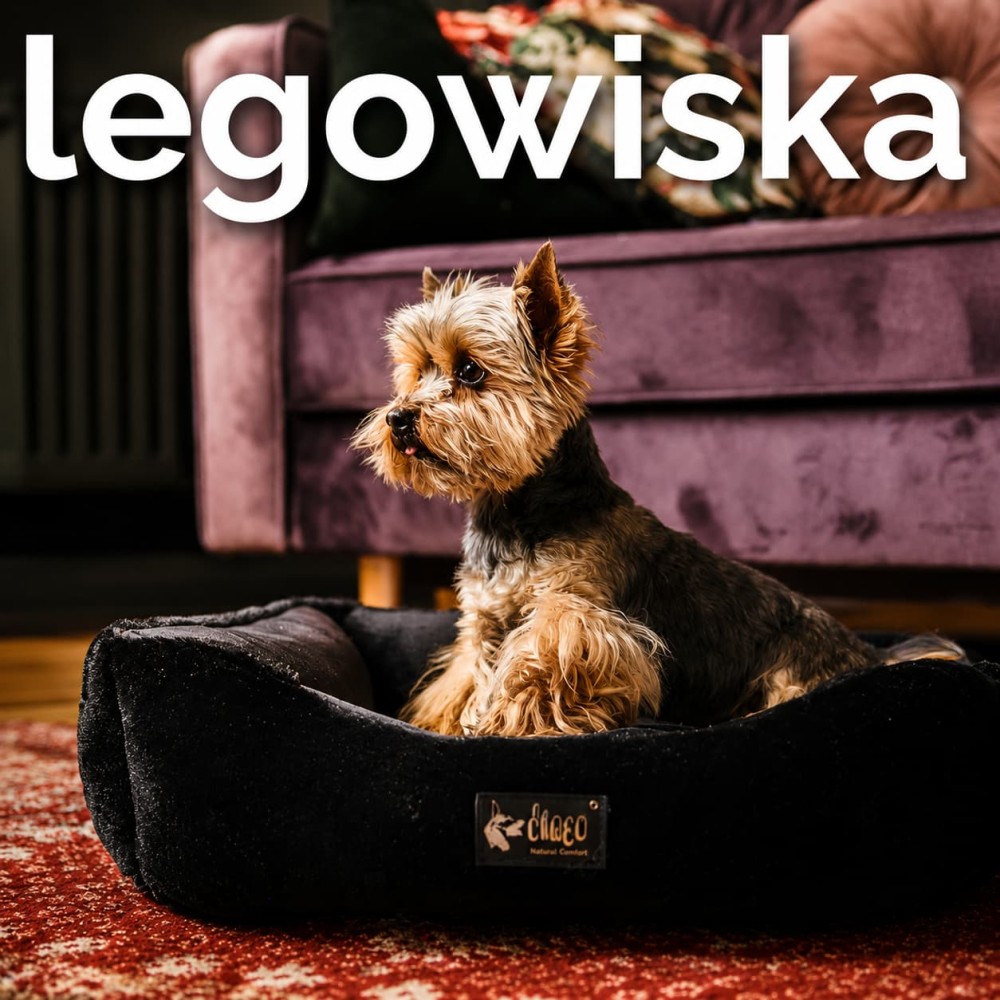 legowisko dla psa