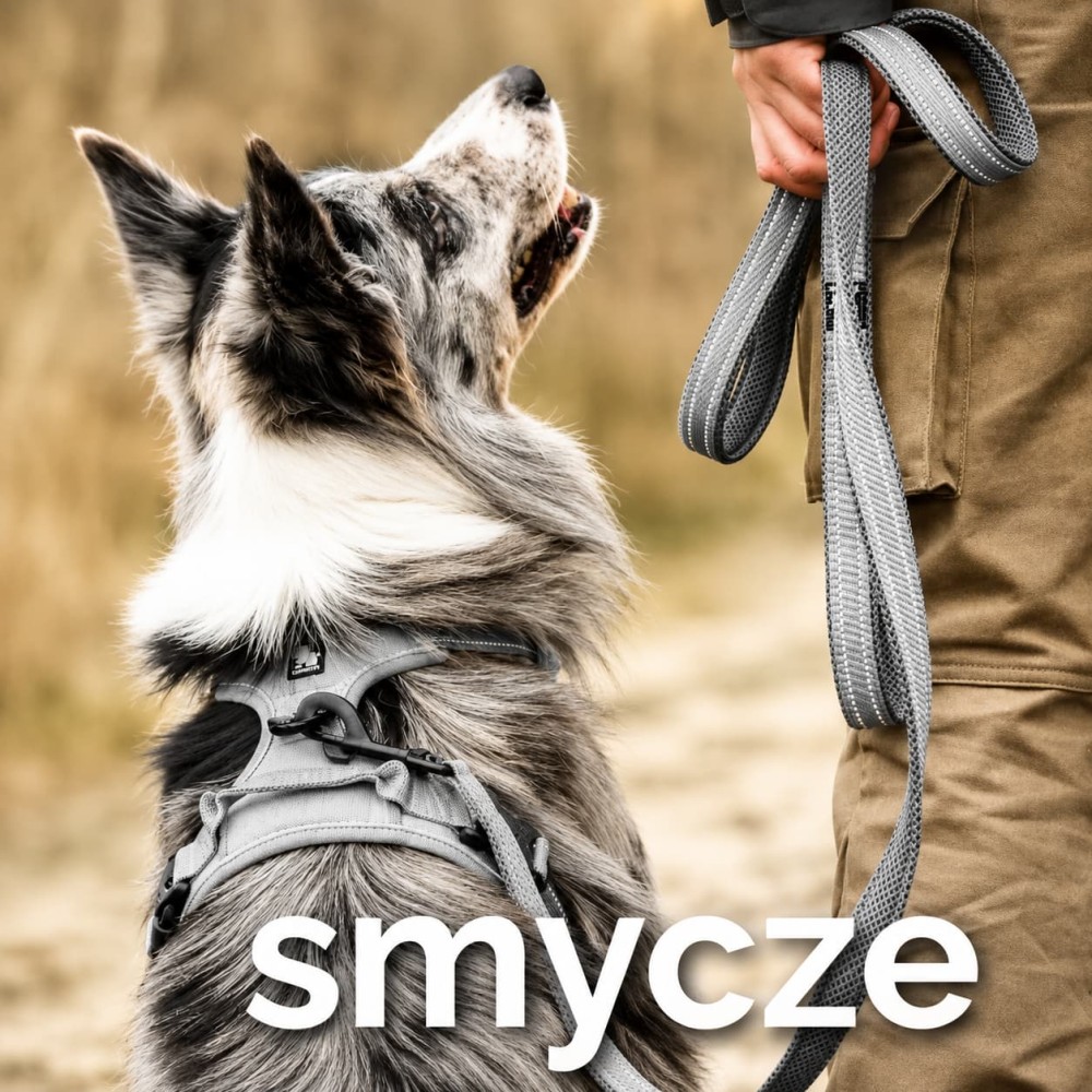 smycz dla psa