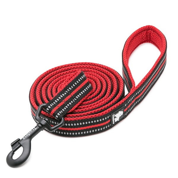 Smycz Truelove Active 200 cm