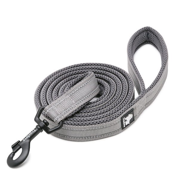 Smycz Truelove Active 200 cm