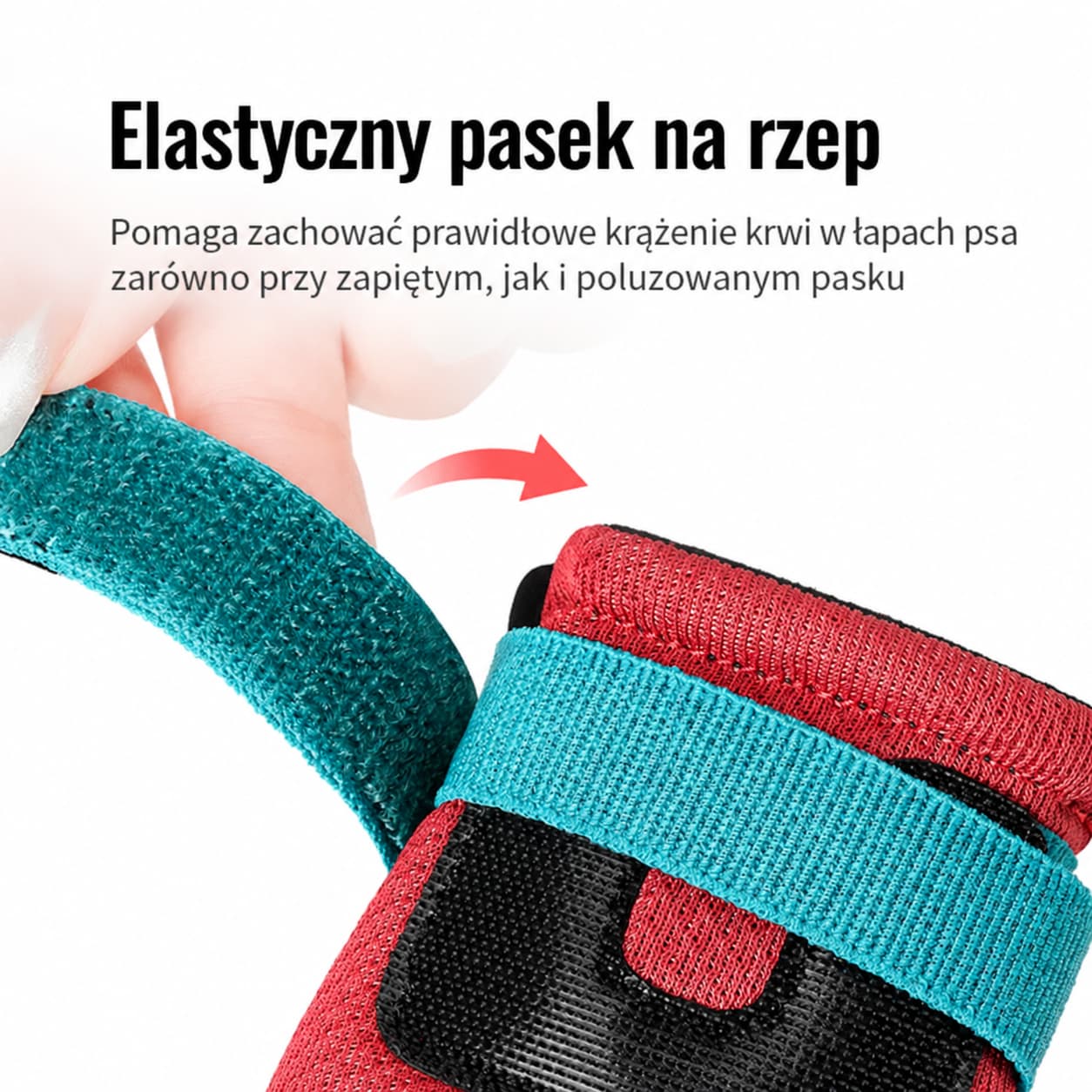 Elastyczny pasek na rzep w bucie dla psa Truelove On Track