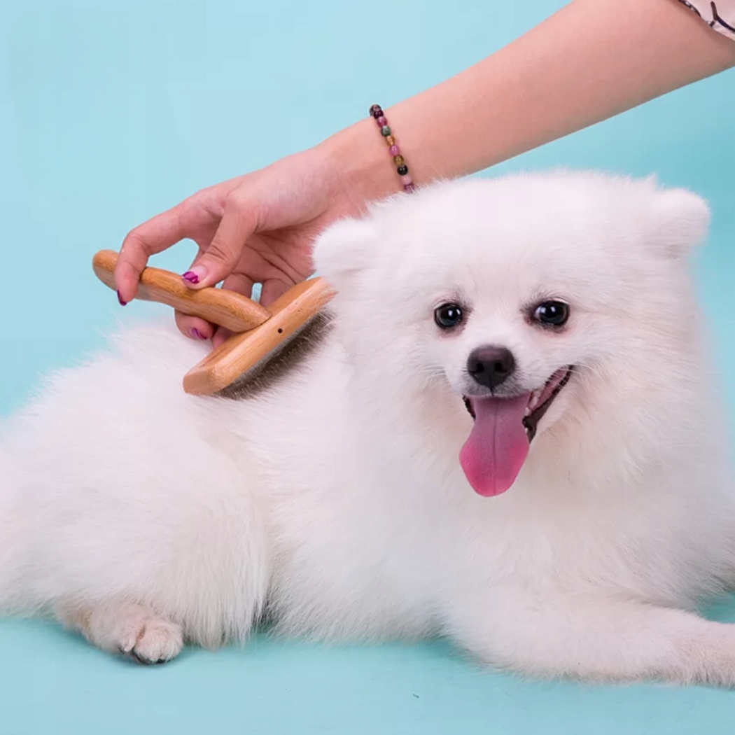 szczotka pudlówka dla psa i kota Truelove