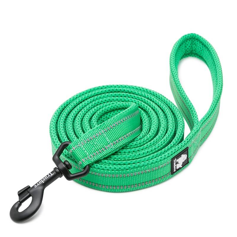Smycz Truelove Active 200 cm