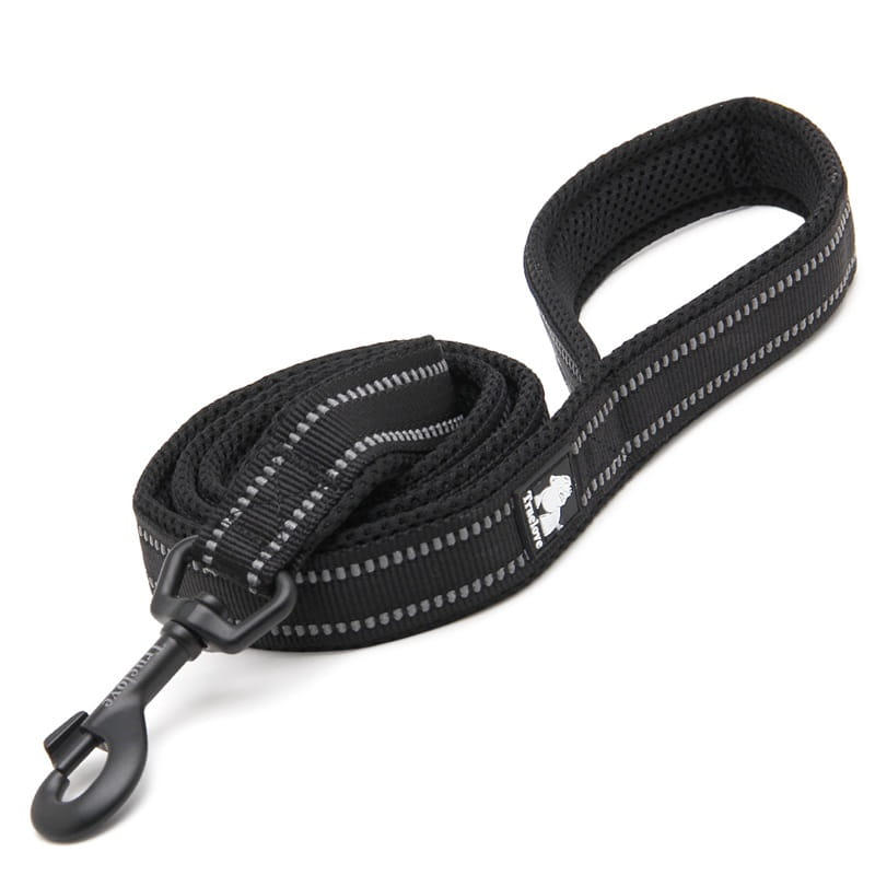 Smycz Truelove Active 200 cm