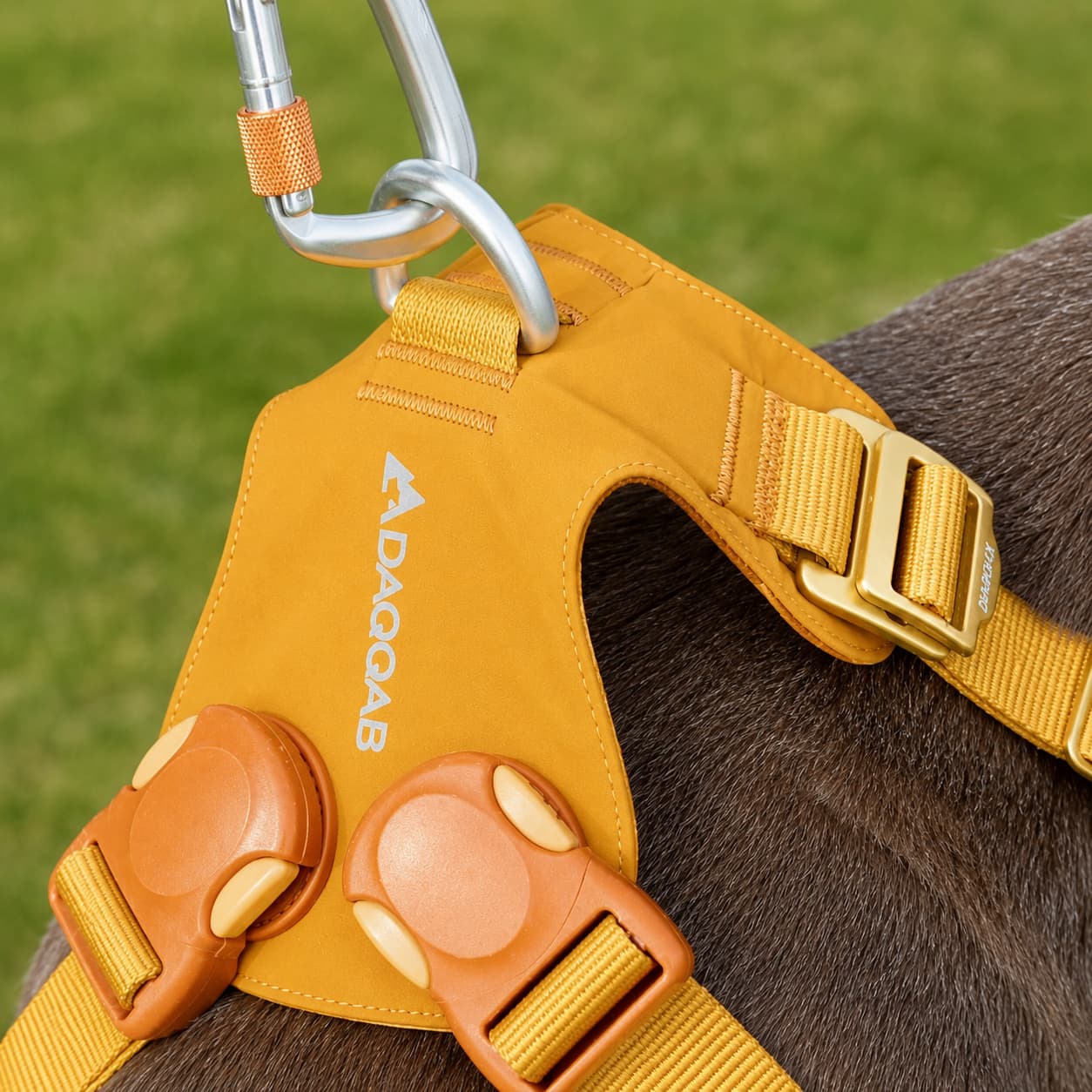 Szelki DAQQAB Outdoor Range punkt mocowania smyczy aluminium