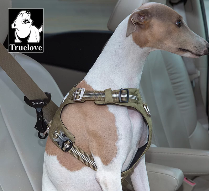 adapter pas samochodowy i szelki dla psa 