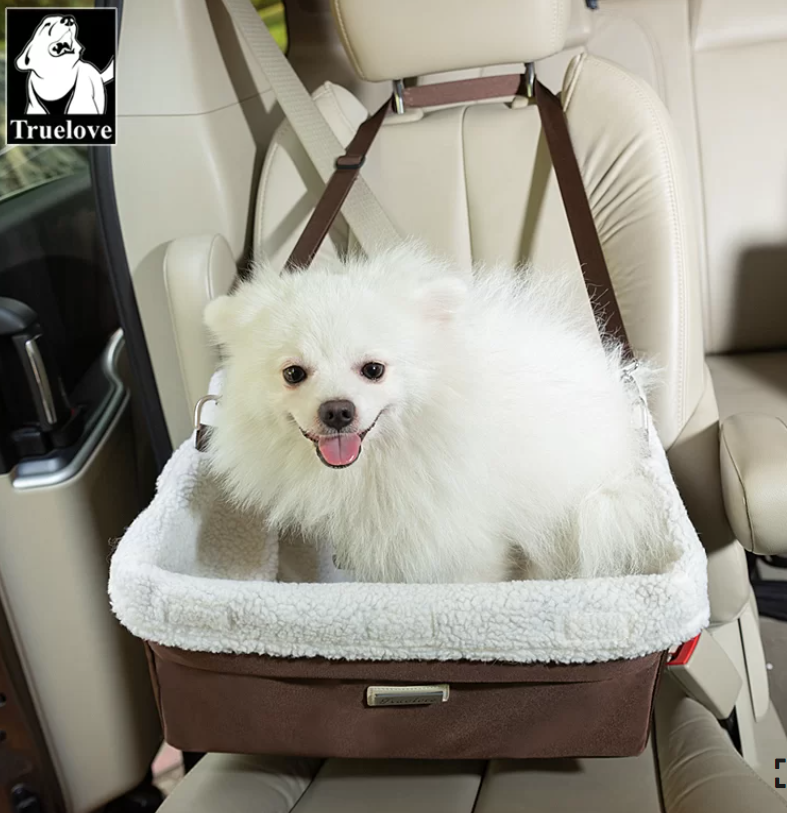 fotelik samochodowy mały pies