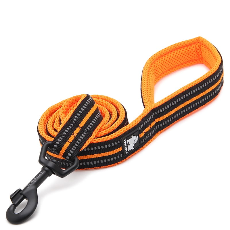 Smycz Truelove Active 200 cm
