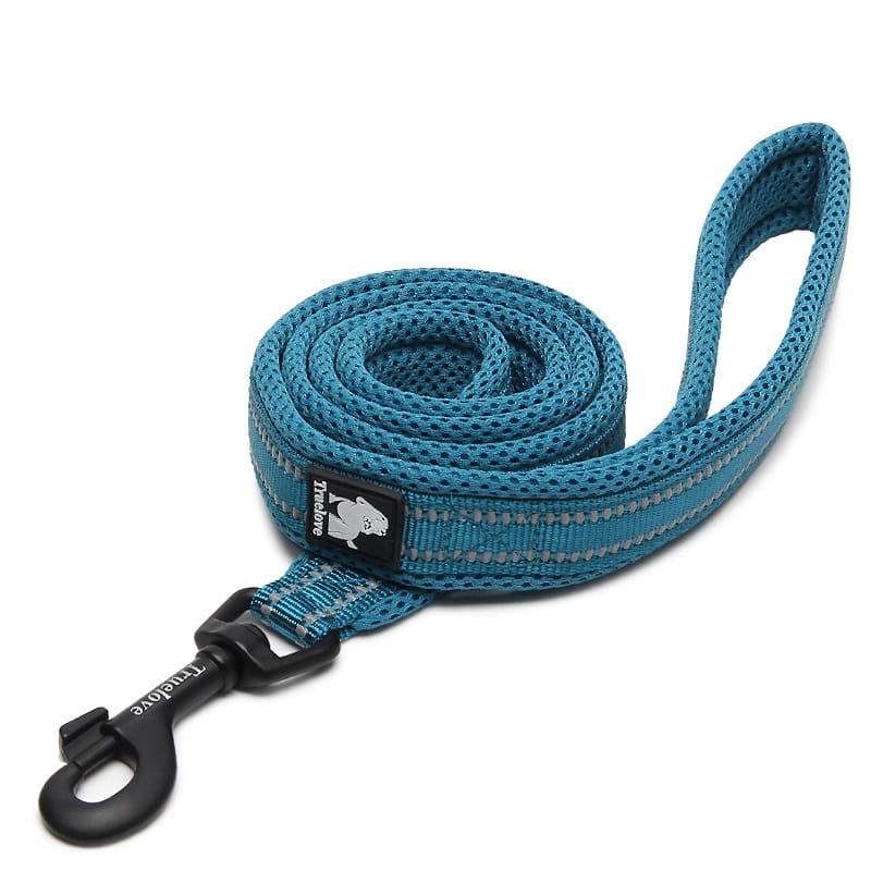 Smycz Truelove Active 200 cm