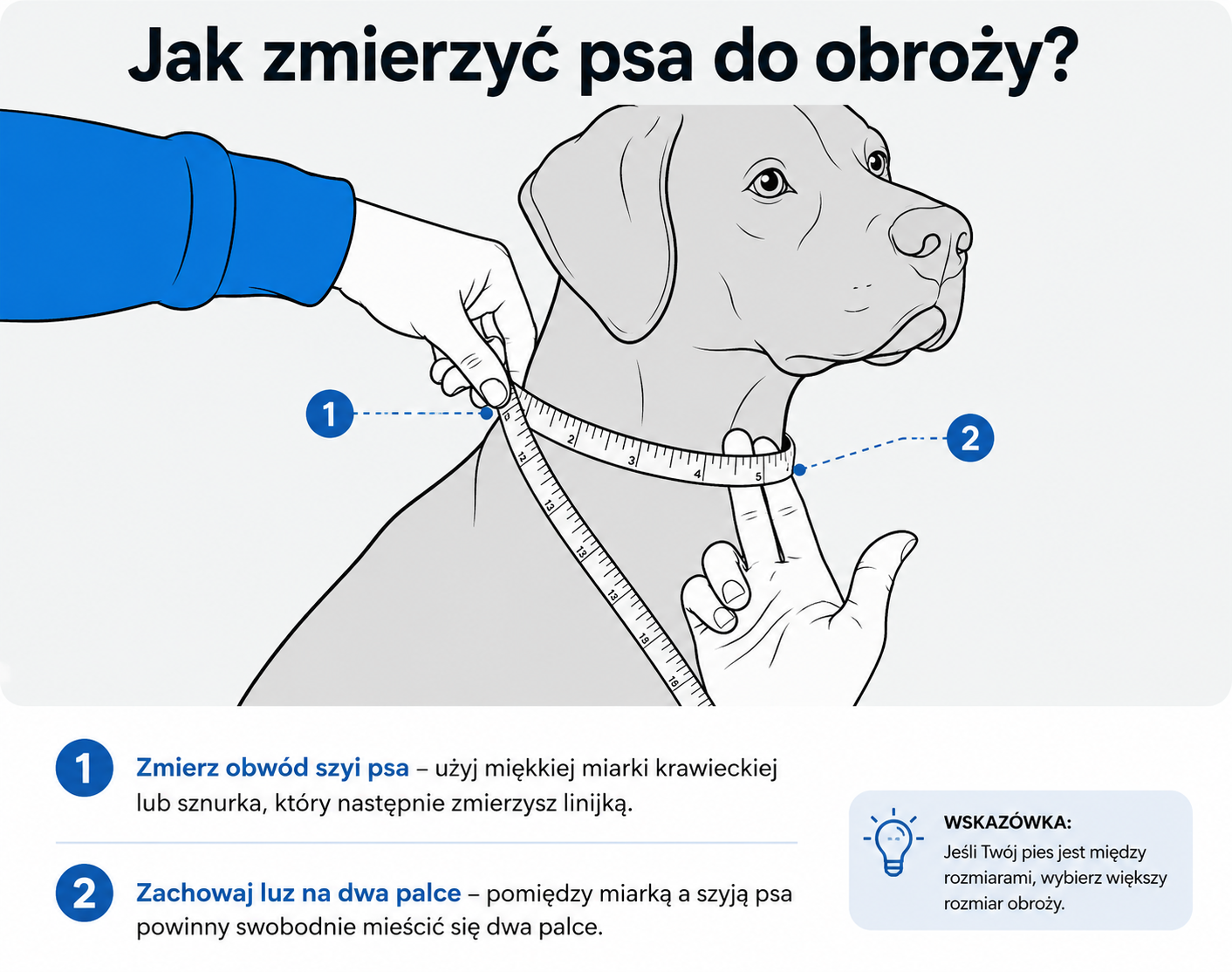 jak zmierzyć psa, dobrać rozmiar obroży