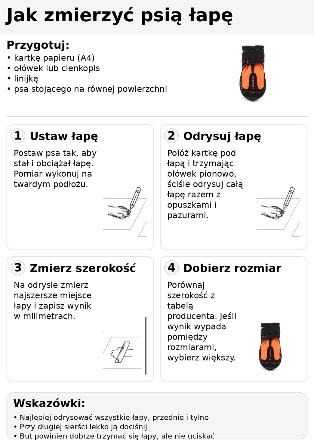 jak mierzyć łapy psa do butów, jak zmierzyć rozmiar butów